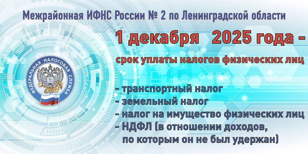 Уплата налогов 1 декабря 2025-плакат(
