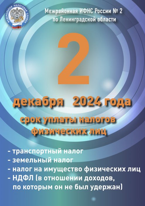 Уплата налогов 2 декабря 2024 (кривые)