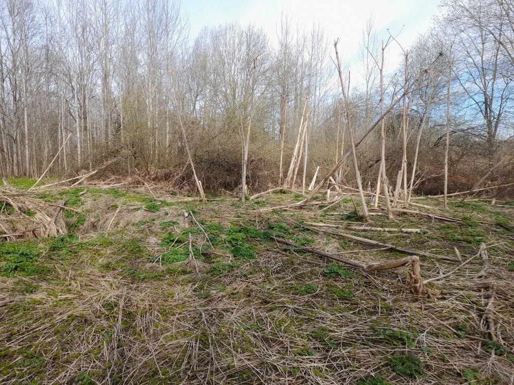 IMG_20260420_113656_516